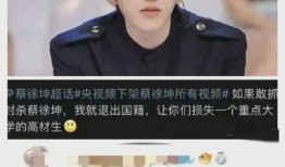 蔡徐坤事件视频爆料,揭秘背后真相与争议